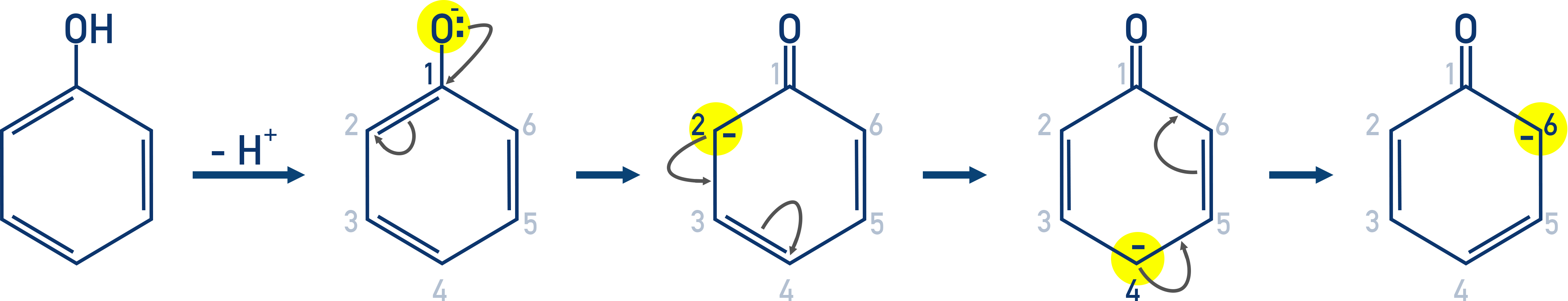 NCERT Class 12 Chemistry directing effects of hydroxyl group on phenol favouring ortho and para substitution.