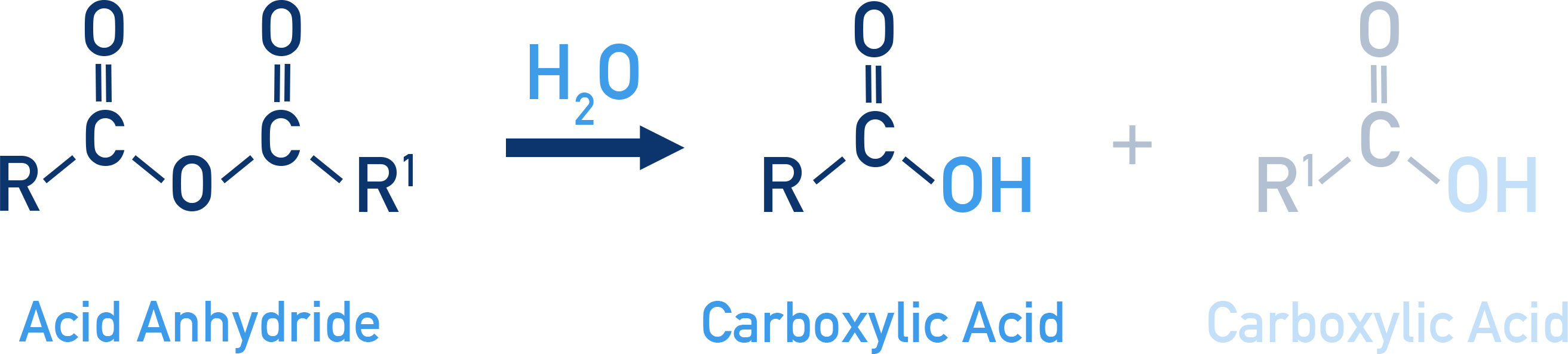 NCERT Class 12 Chemistry scheme showing acid anhydride hydrolysis to give two equivalents of carboxylic acid.