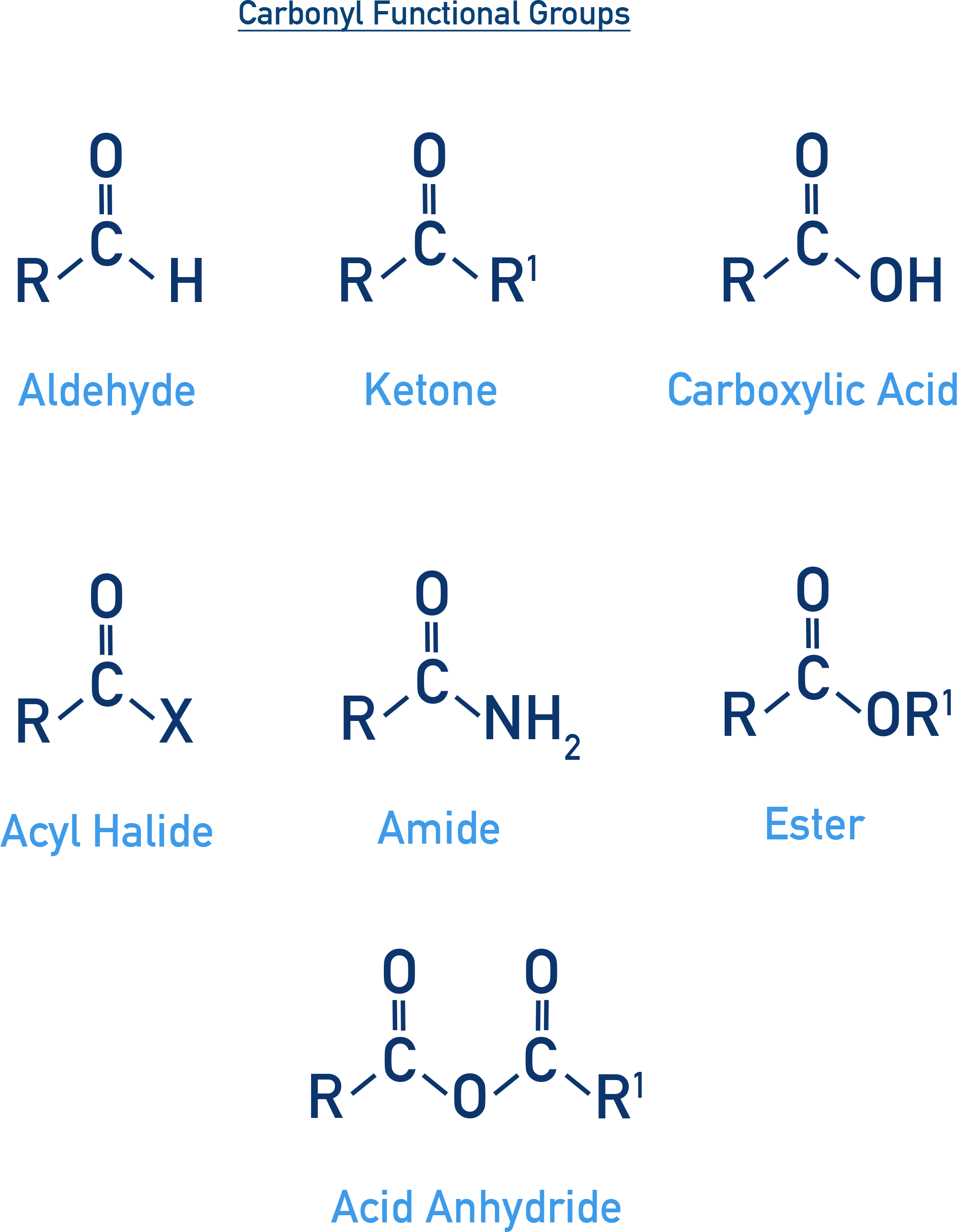 NCERT Class 12 Chemistry diagram showing general structures of carbonyl group compounds: aldehydes, ketones, carboxylic acids, esters, amides, and acid chlorides.