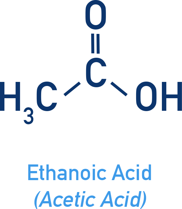 NCERT 12 Chemistry diagram of ethanoic (acetic) acid uses: vinegar, cellulose acetate manufacture, and solvents for ester synthesis.