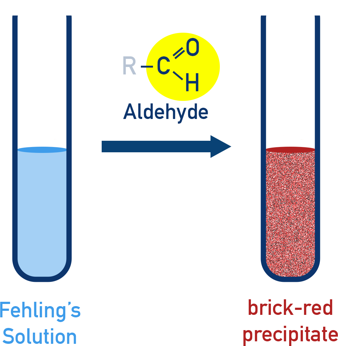 NCERT 12 Chemistry Fehling’s solution giving brick-red Cu2O precipitate with aliphatic aldehydes.