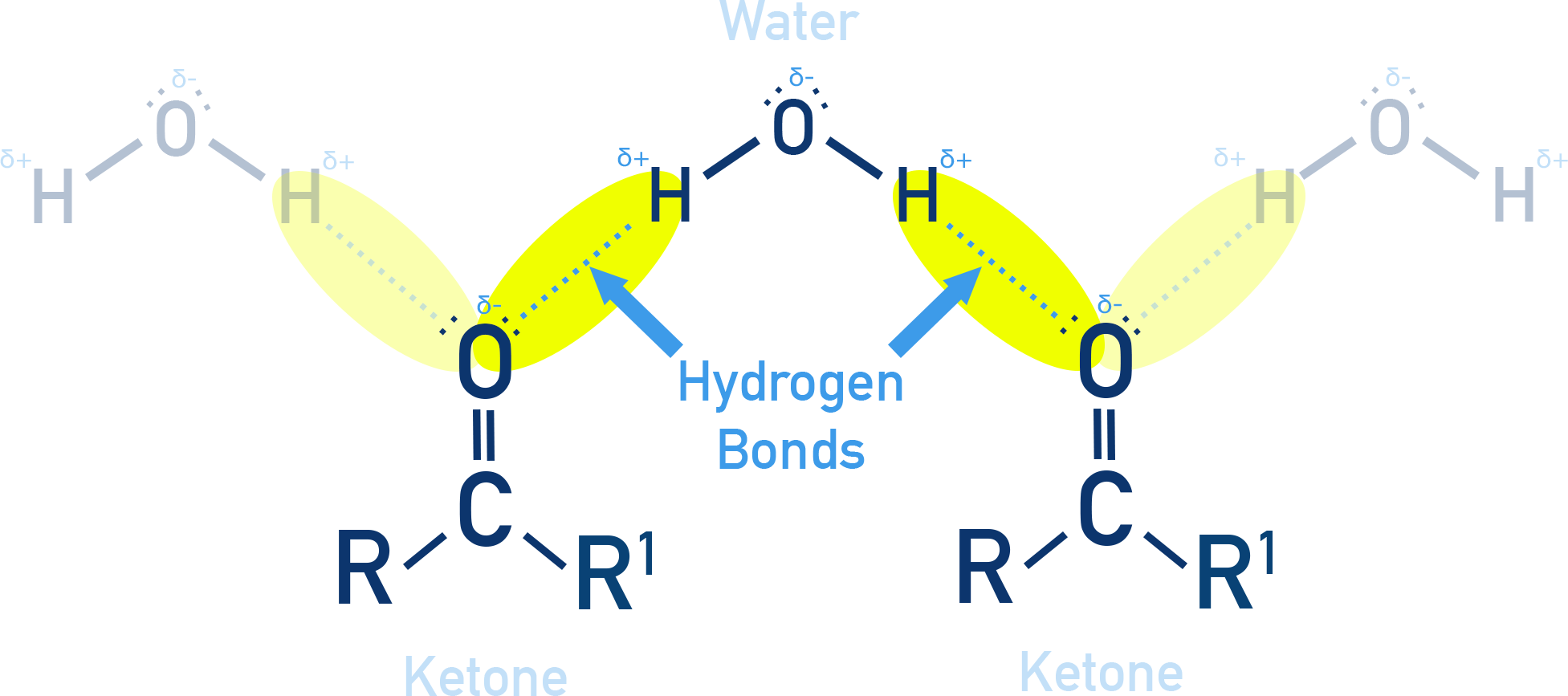 NCERT Class 12 Chemistry diagram showing hydrogen bonding between a carbonyl oxygen atom and a water molecule.