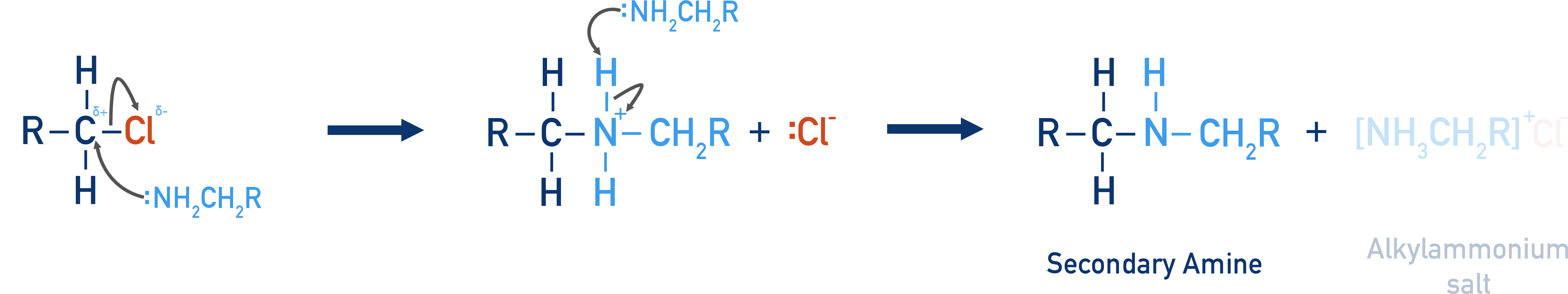 NCERT Chemistry Class 12 Amines mechanism showing primary amine reacting further with haloalkane to give secondary amine.