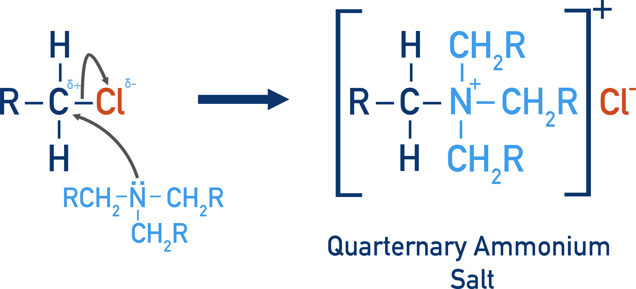 NCERT Chemistry Class 12 Amines diagram showing formation of quaternary ammonium salt from tertiary amine and haloalkane.