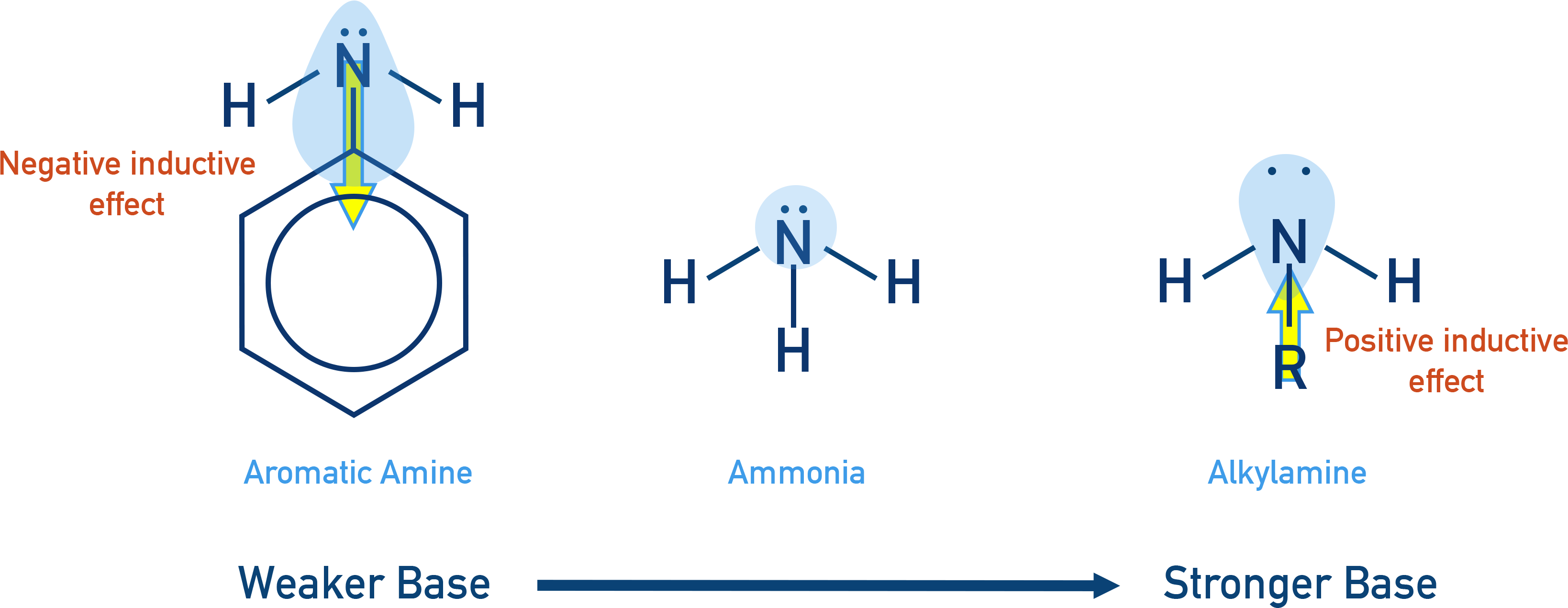 NCERT 12 Chemistry trend showing tertiary > secondary > primary > ammonia basicity in gas phase.