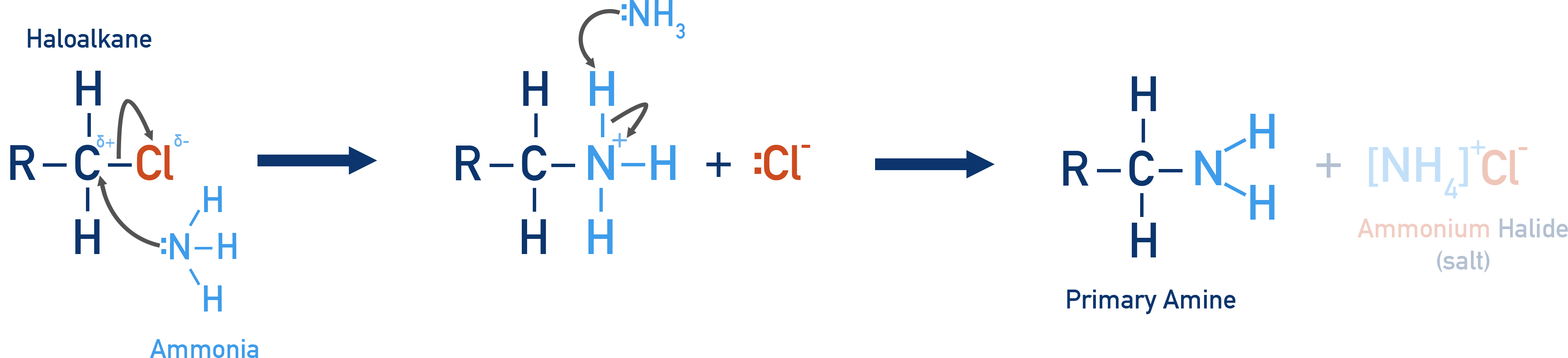 NCERT Chemistry Class 12 Amines mechanism image showing nucleophilic substitution of a haloalkane by ammonia to form a primary amine.