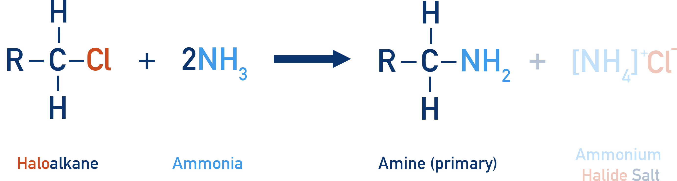 NCERT Chemistry Class 12 Amines schematic of ammonolysis where an alkyl halide reacts with ammonia to form a primary amine.