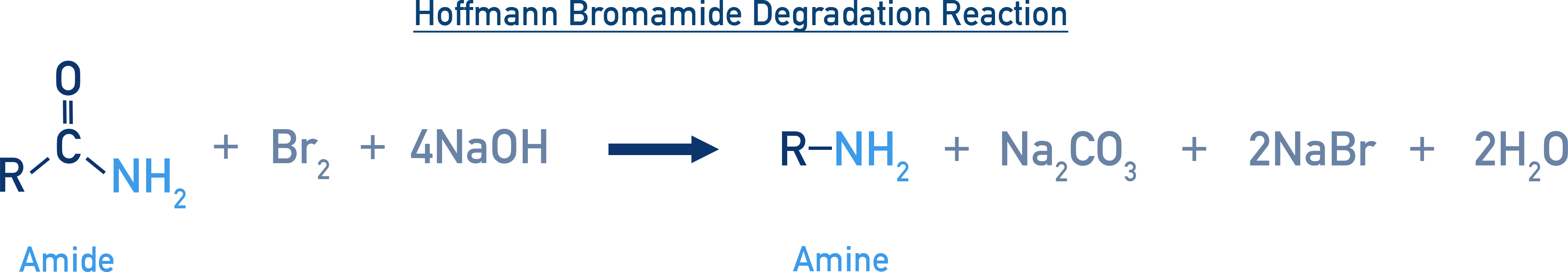 NCERT Chemistry Class 12 Amines Hoffmann bromamide degradation converting an amide to a primary amine with loss of one carbon using Br2 and NaOH.