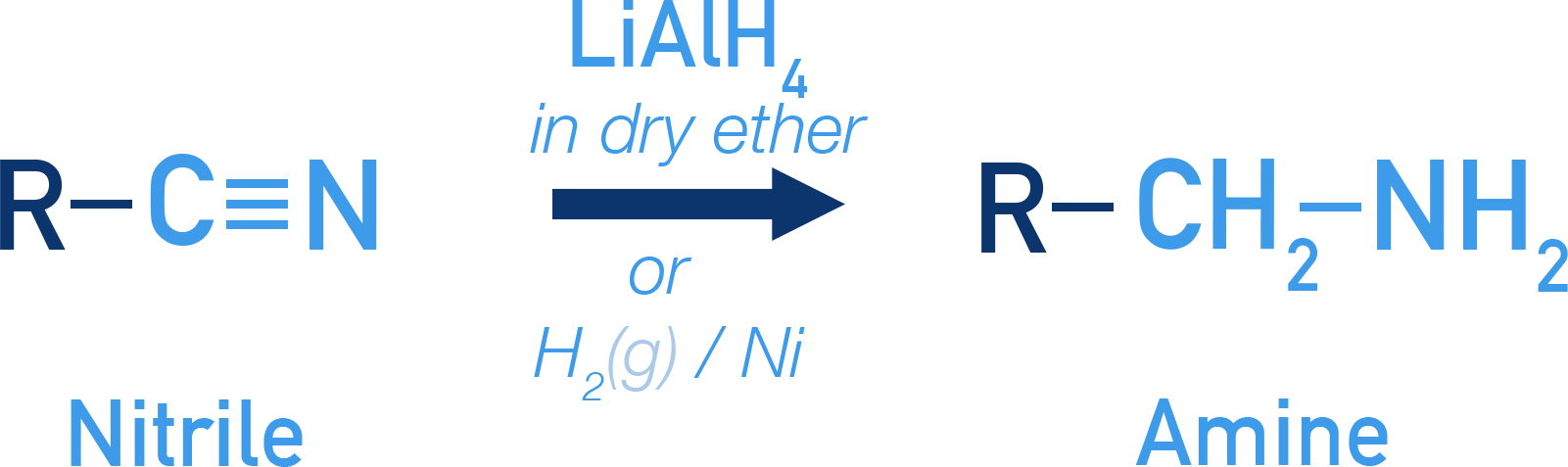 NCERT Chemistry Class 12 Amines reduction of nitrile to primary amine using LiAlH4 or catalytic hydrogenation.