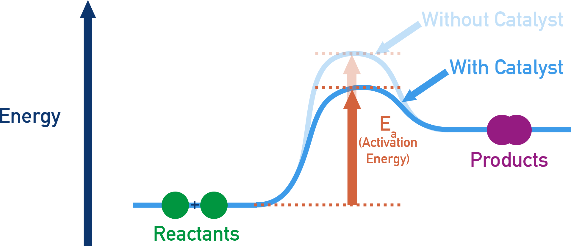 Catalysts OCR A Level Chemistry