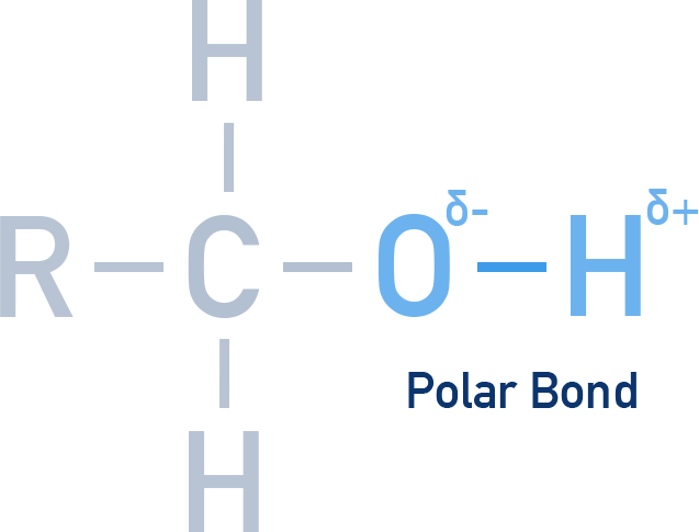 OCR (A) A-Level Chemistry diagram showing the polar O–H bond in alcohols due to electronegativity difference between oxygen and hydrogen.