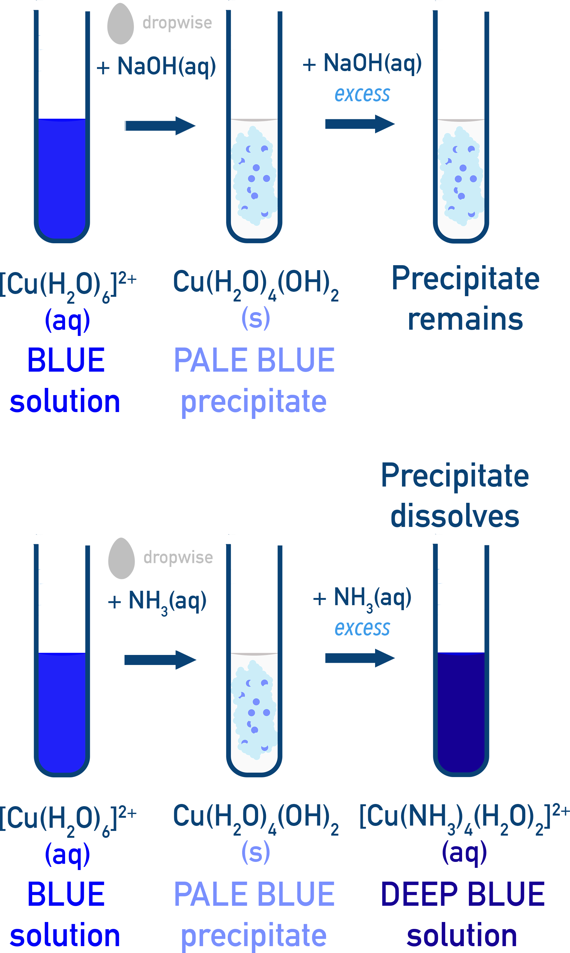 OCR (A) A-Level Chemistry test-tube reactions for Cu2+ metal–aqua ion showing expected precipitate colour changes.