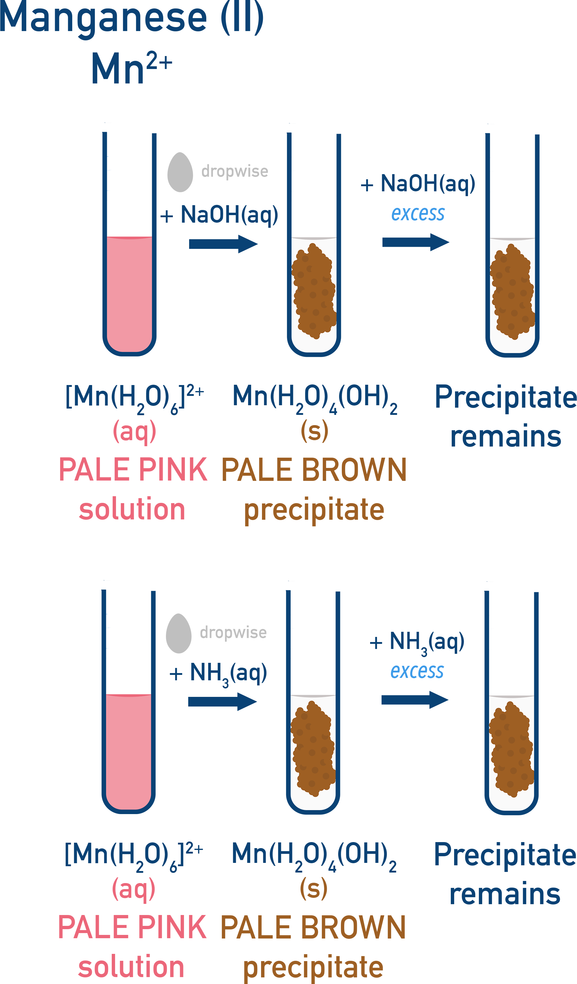 OCR (A) A-Level Chemistry test-tube reactions for Mn2+ metal–aqua ion showing expected precipitate colour changes.