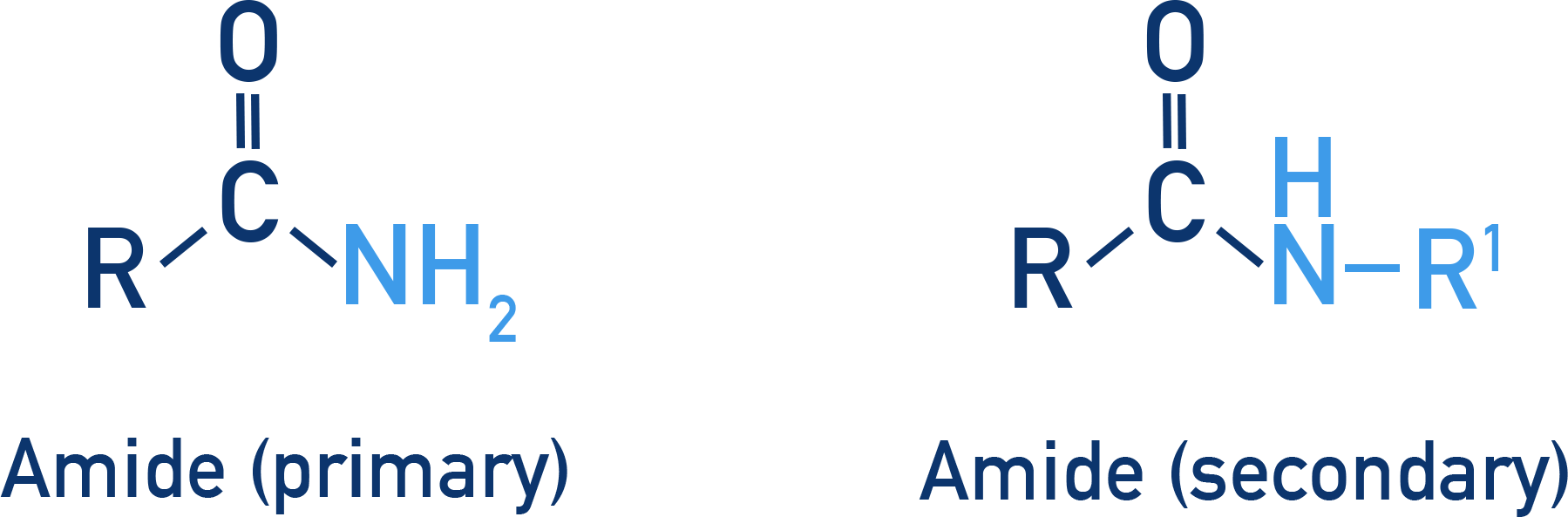 OCR (A) A-Level Chemistry amide functional group showing a primary amide and secondary amide.